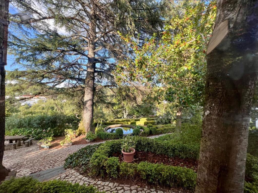 Casa Fundeira - Quinta Dos Esconhais カスタニェイラ・デ・ペーラ エクステリア 写真